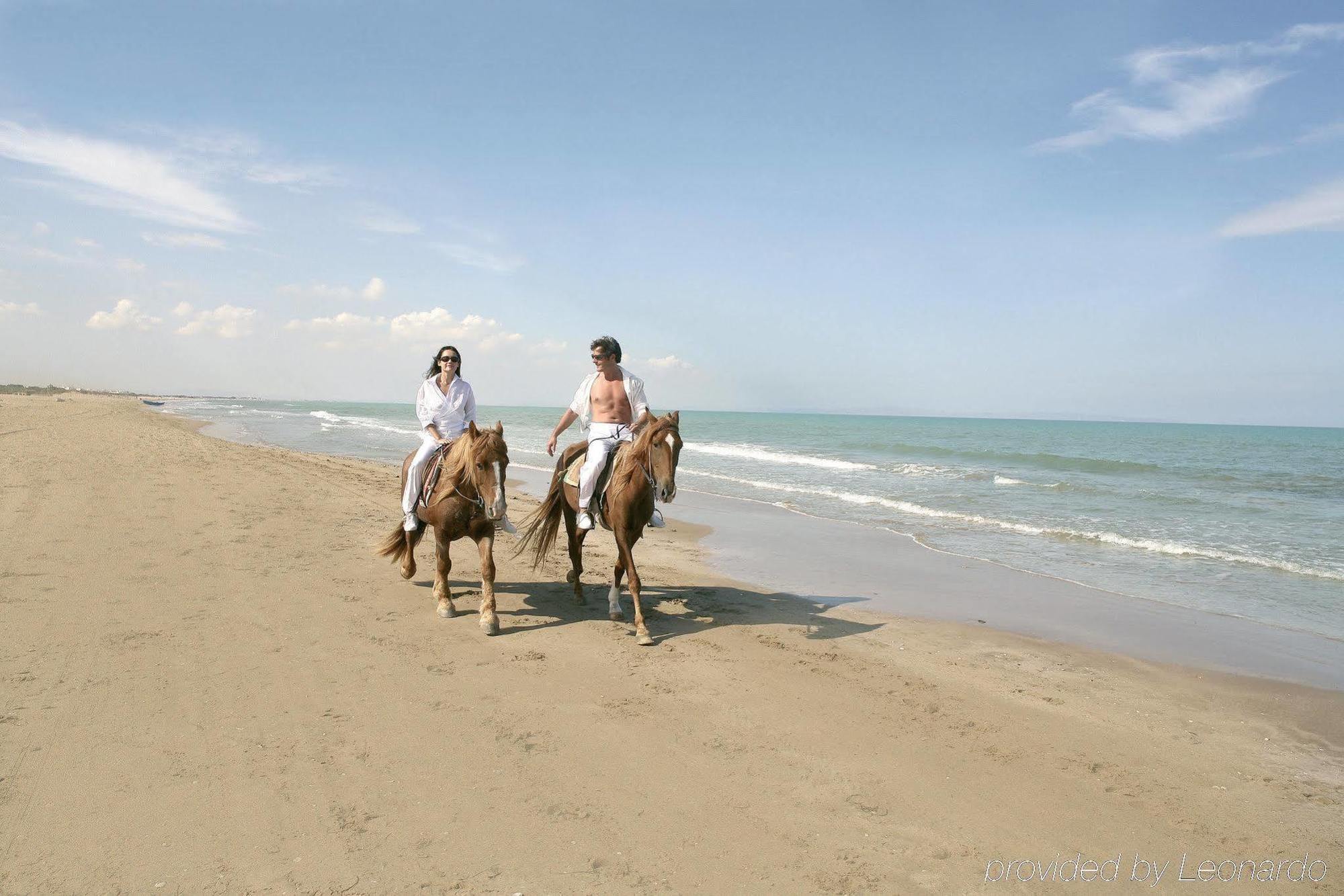 The Tunis Resort
